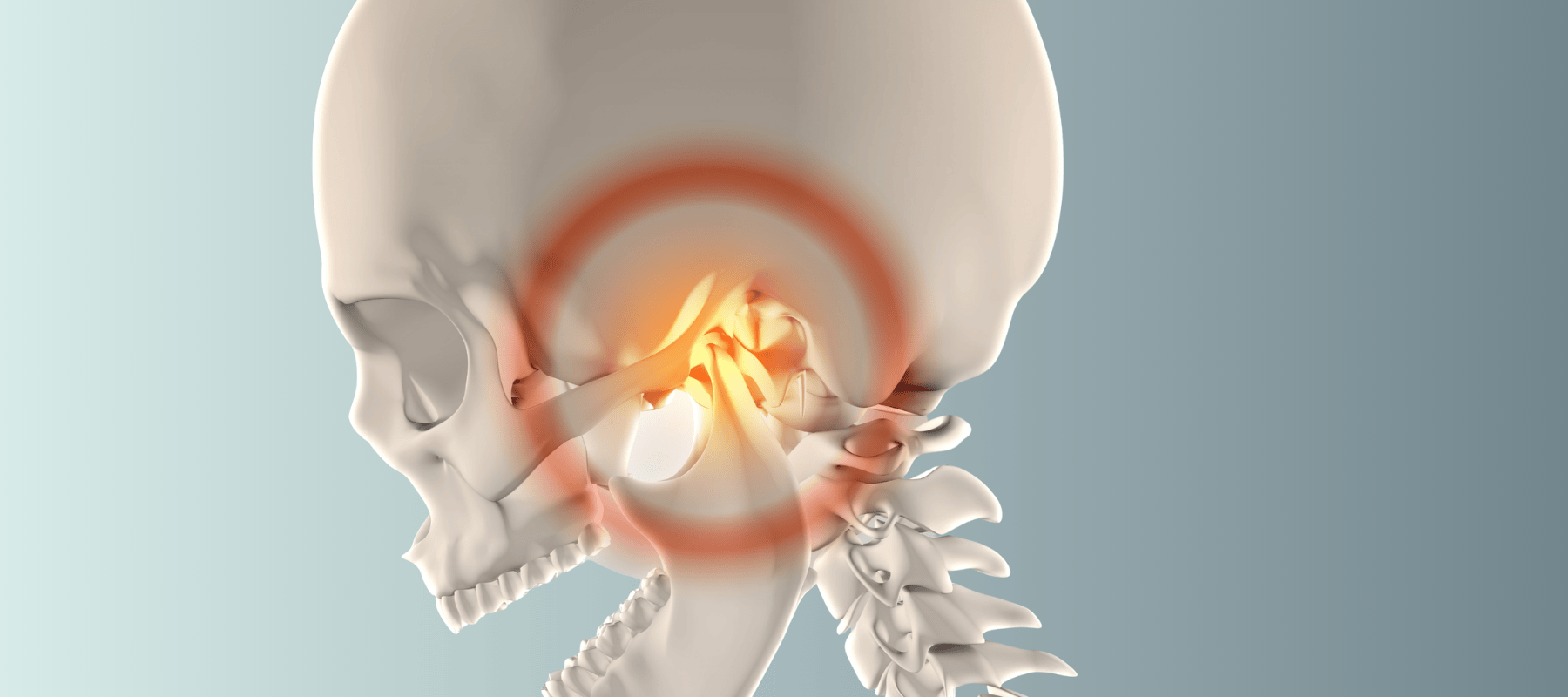 articulacion temporomandibular